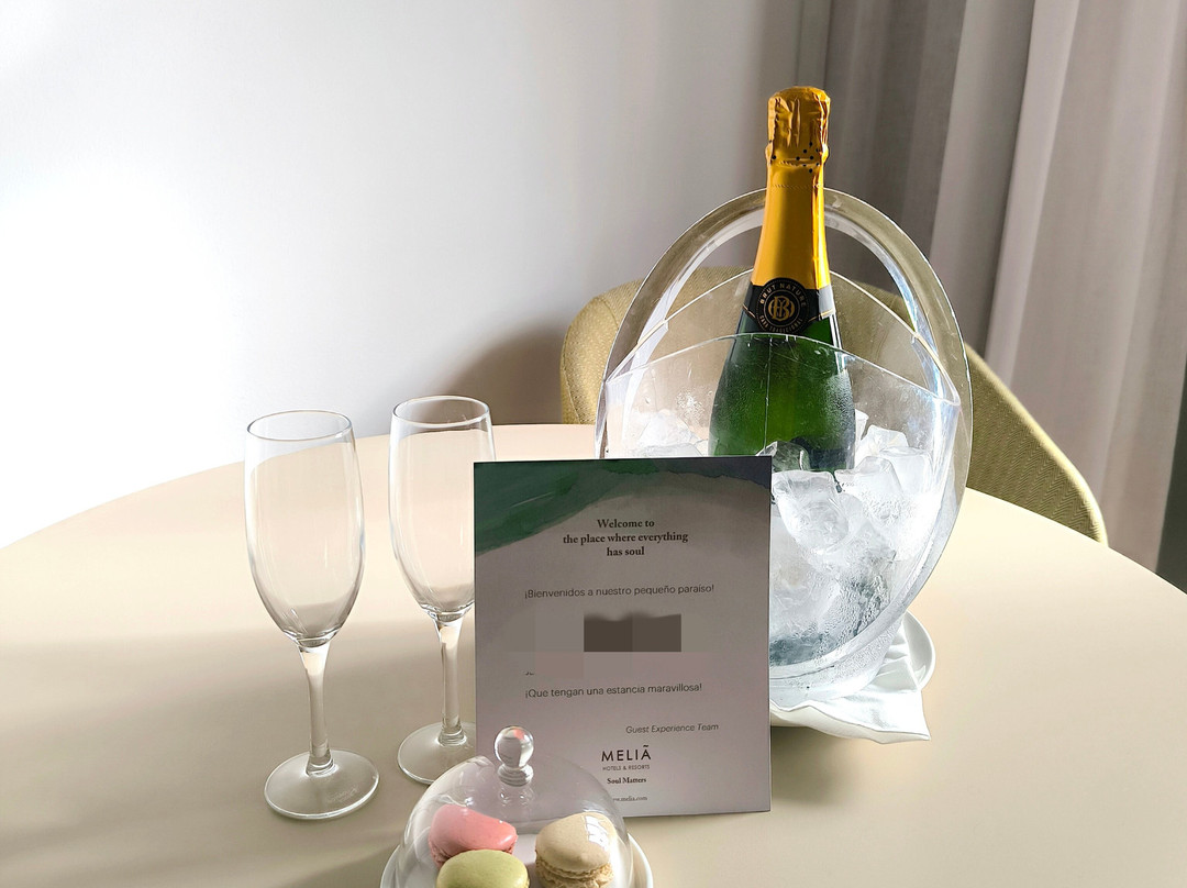 Meliá Jardines del Teide - Adults only主图