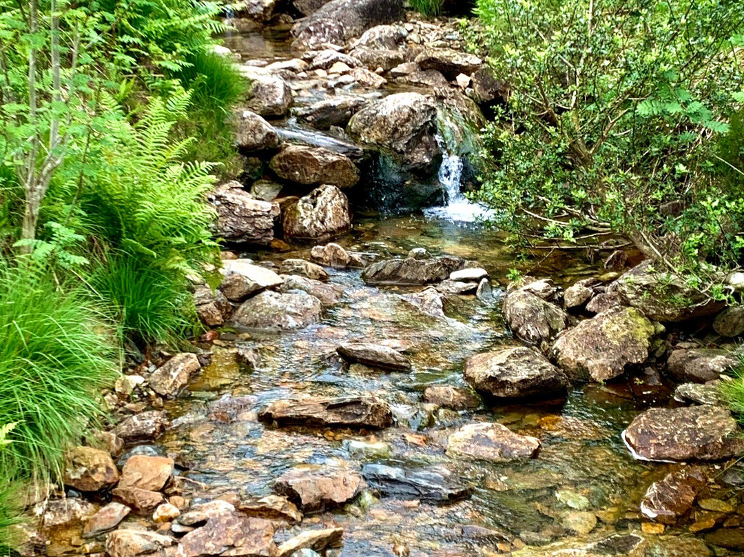 Llyn Dinas景点图片