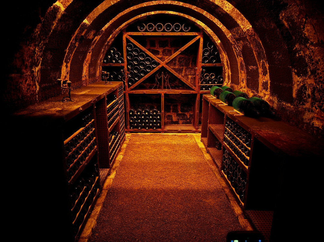 Wine Tours From Madrid-马德里必去景点