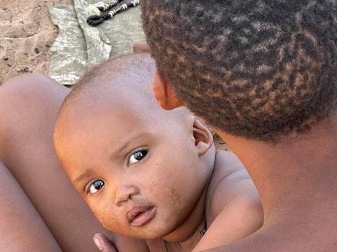 Bushtrails Tours and Safaris-温德和克必去景点