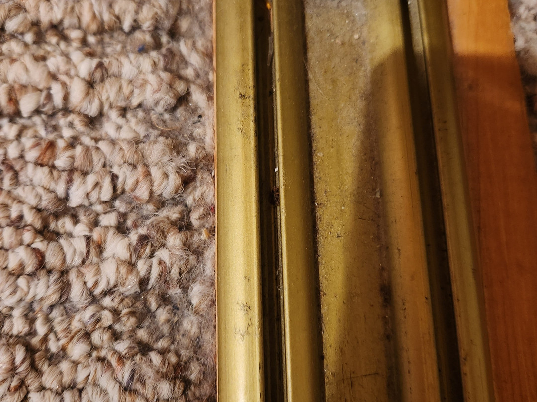 Thousand Hills Vacations主图