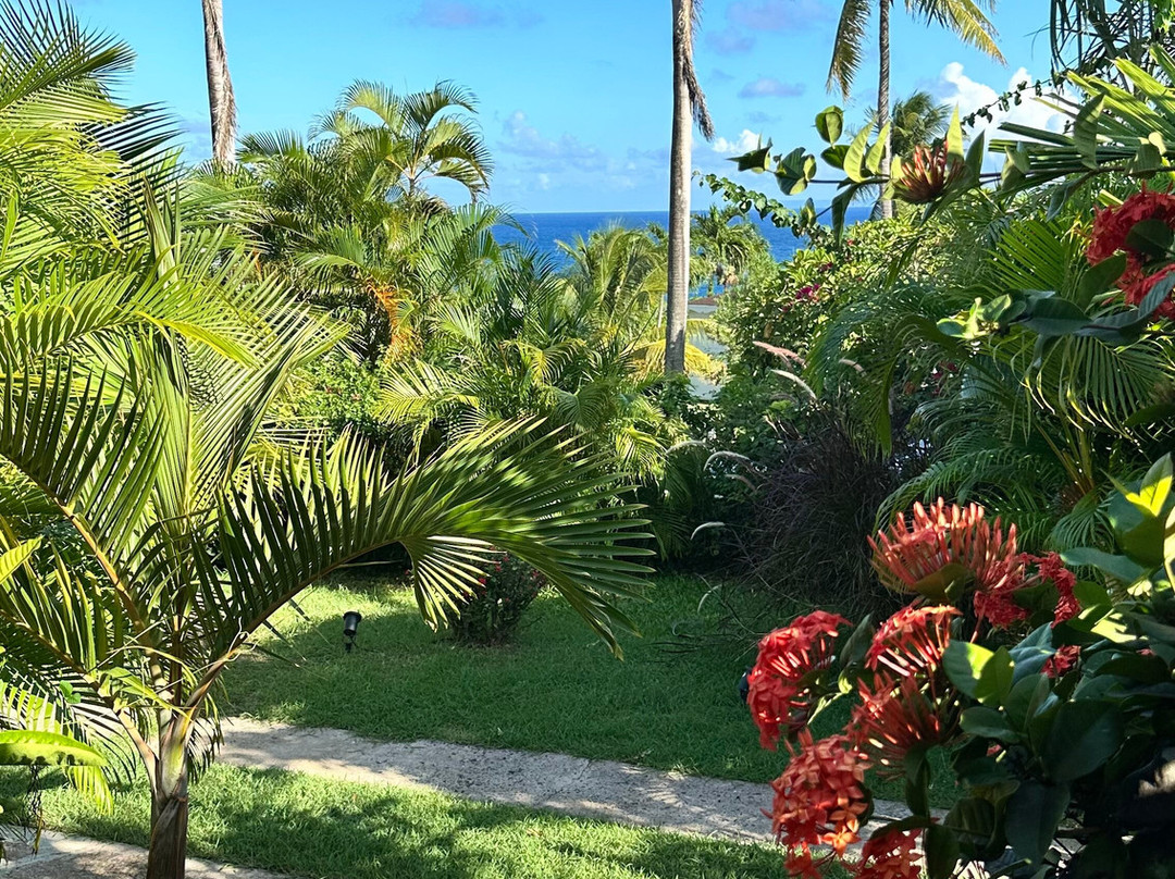 Residence Cocody主图