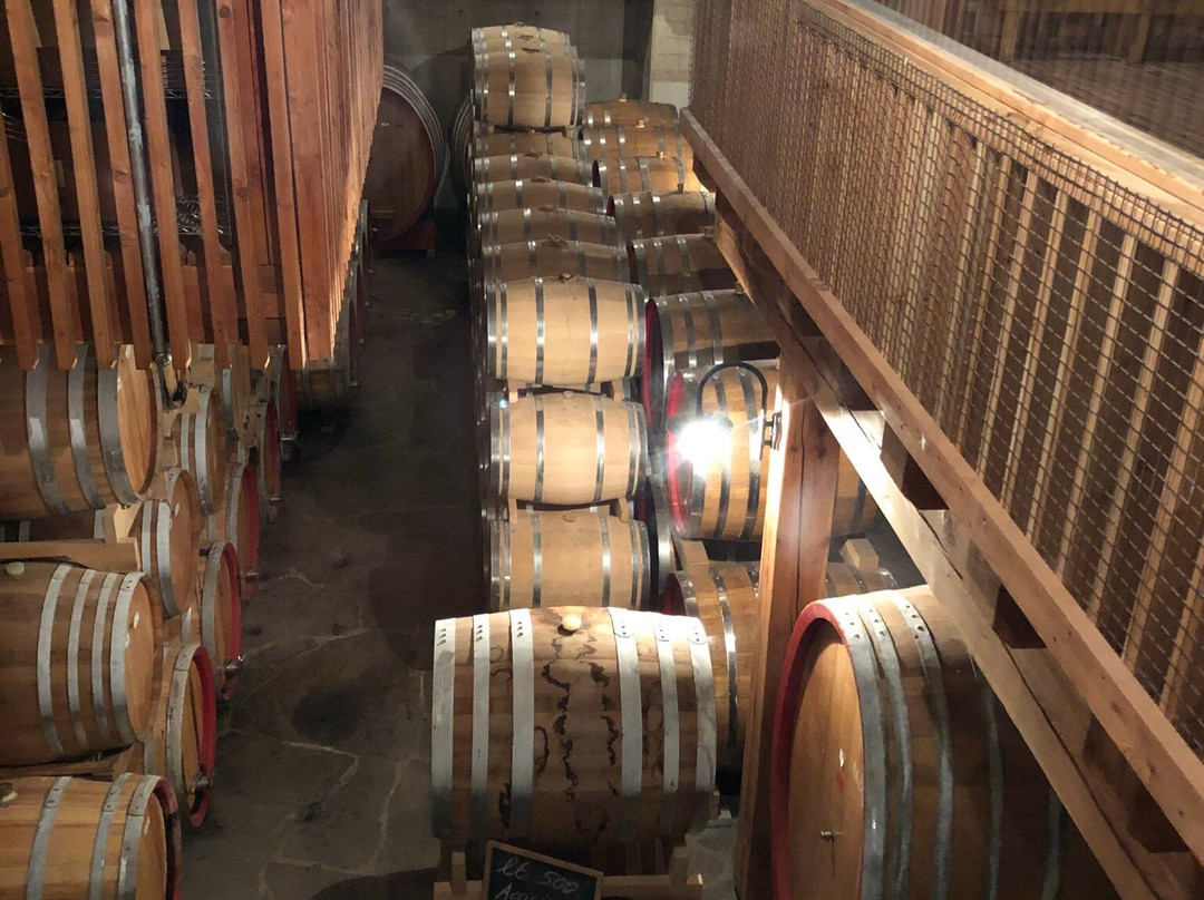 Distilleria Marzadro景点图片
