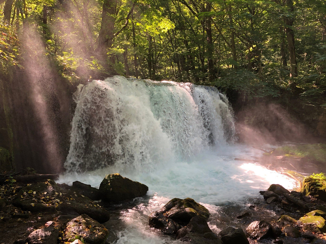 Choshi Otaki Waterfall景点图片