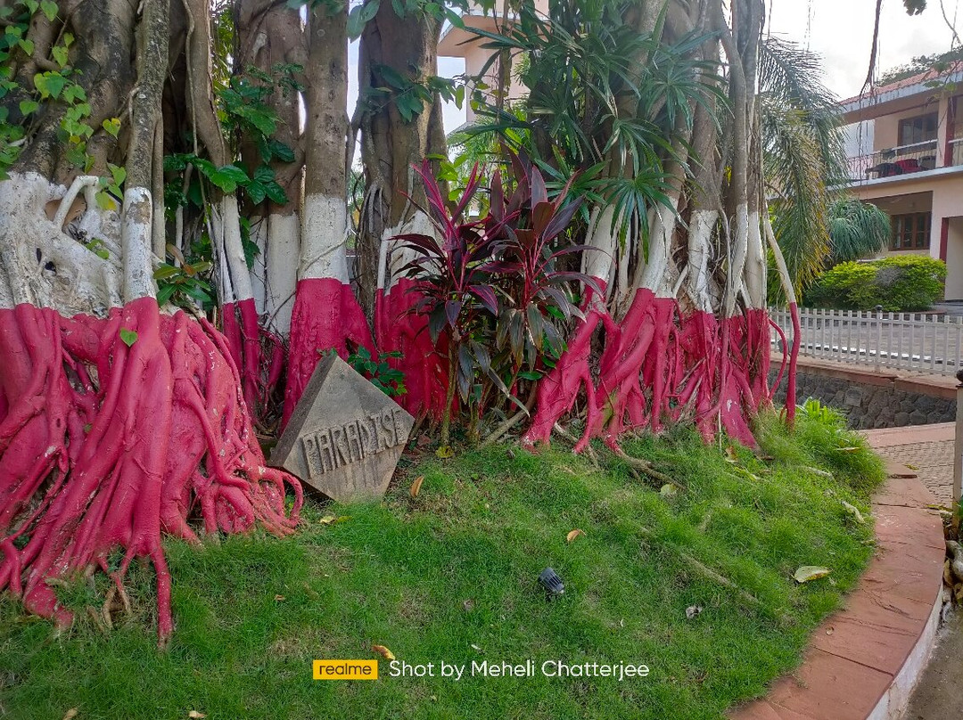 Paradise Villas & Resort主图