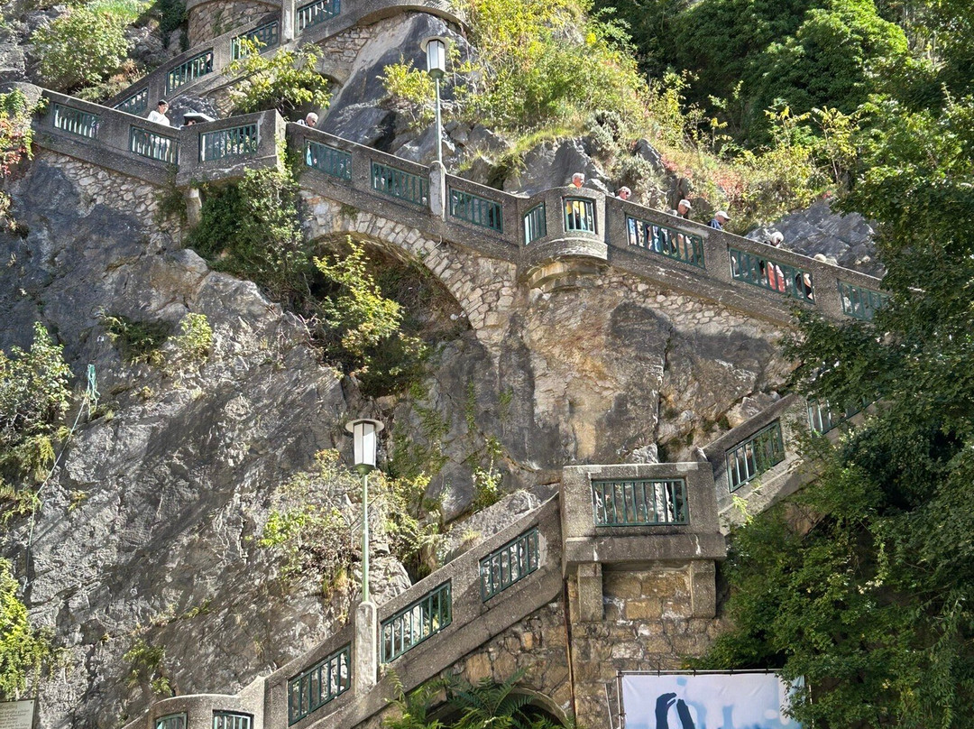 Boutique Hotel Dom主图