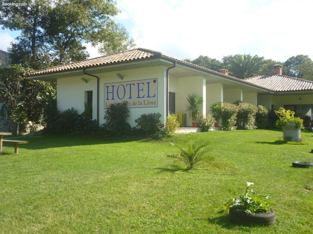 Hotel Los Jardines de la Llosa主图