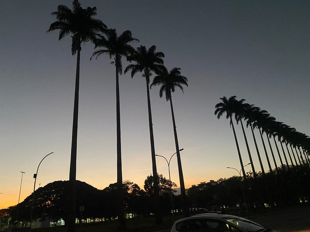 Parque Roberto Burle Marx景点图片