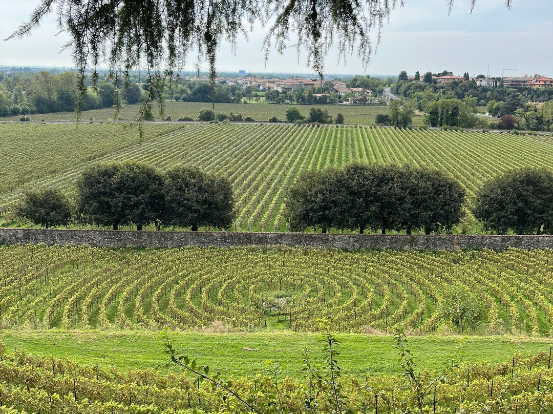 Castello di Bornato景点图片