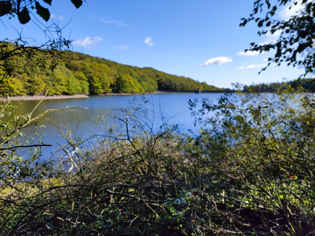 Linacre Reservoirs-切斯特菲尔德必去景点