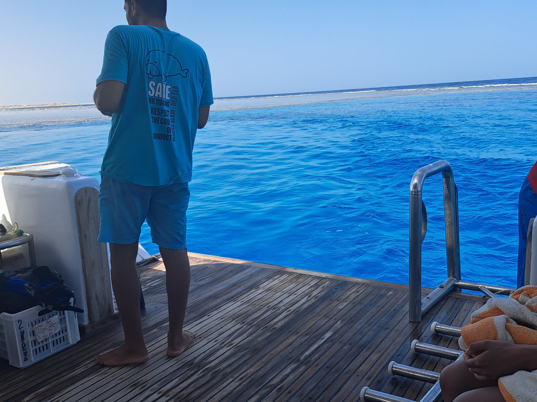 Diving El Flamenco-艾尔可西利亚必去景点