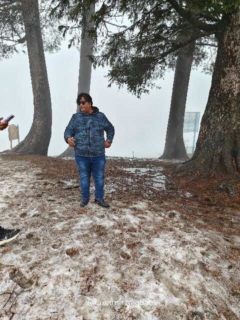 Gulmarg Zahgeer Continental主图