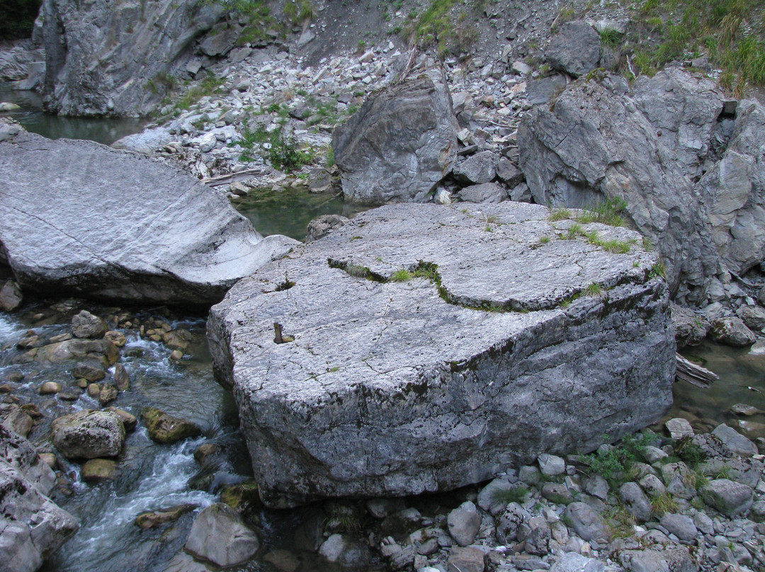 Les Gorges de la Jogne景点图片
