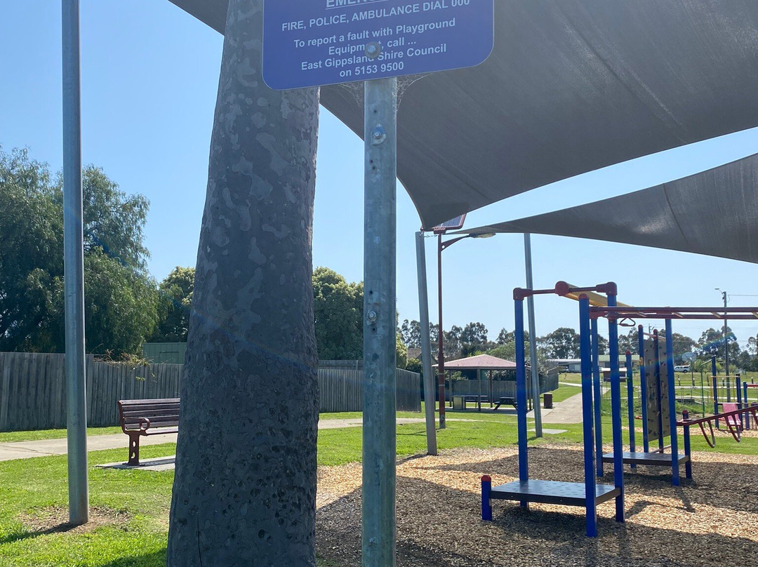 Hoddinott Playground景点图片