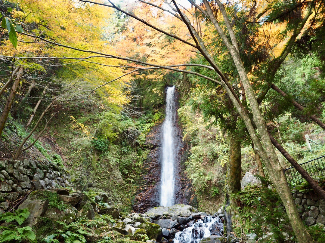 Yoro no Taki Falls-养老町必去景点
