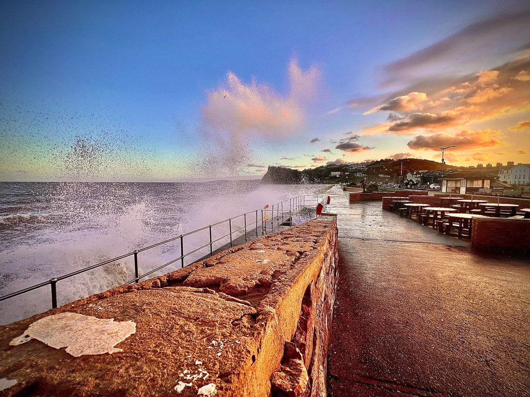 Teign Bean Coffee @ Mamhead