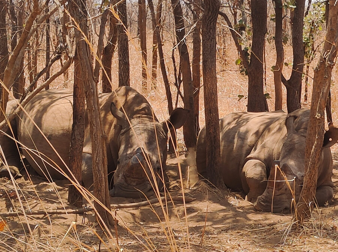 Lusaka National Park景点图片