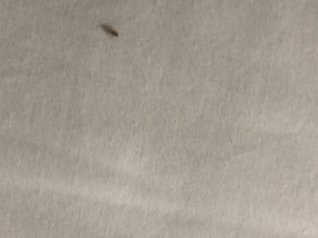 Days Inn & Suites by Wyndham Bonita Springs North Naples主图