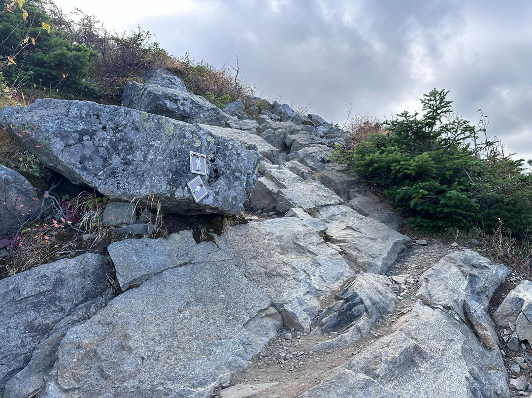 Parc National de la Gaspesie景点图片
