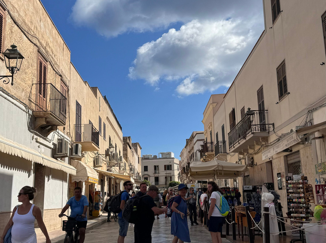 Il Cortile Fiorito srl主图