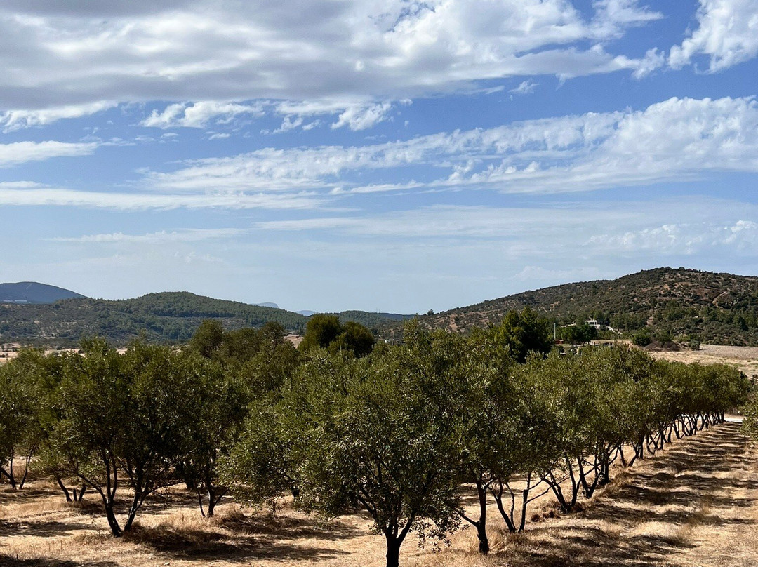 Karnas Vineyards景点图片