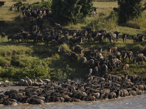E & E Safaris-阿鲁沙必去景点