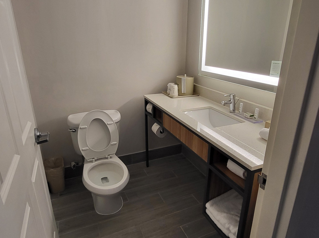 Wingate by Wyndham Richmond Short Pump主图