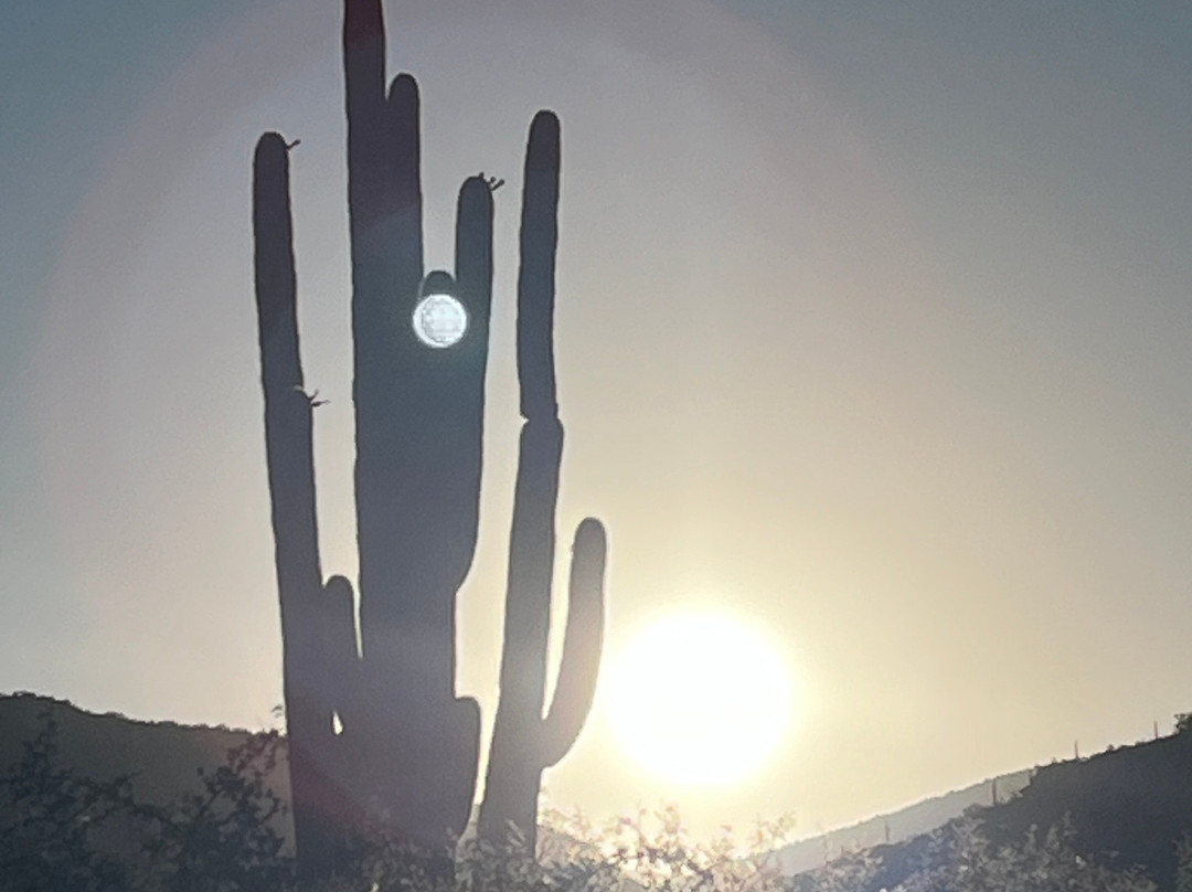 Desert Trails Bed and Breakfast主图