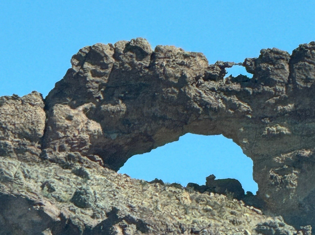 Organ Pipe Cactus National Monument-Ajo必去景点