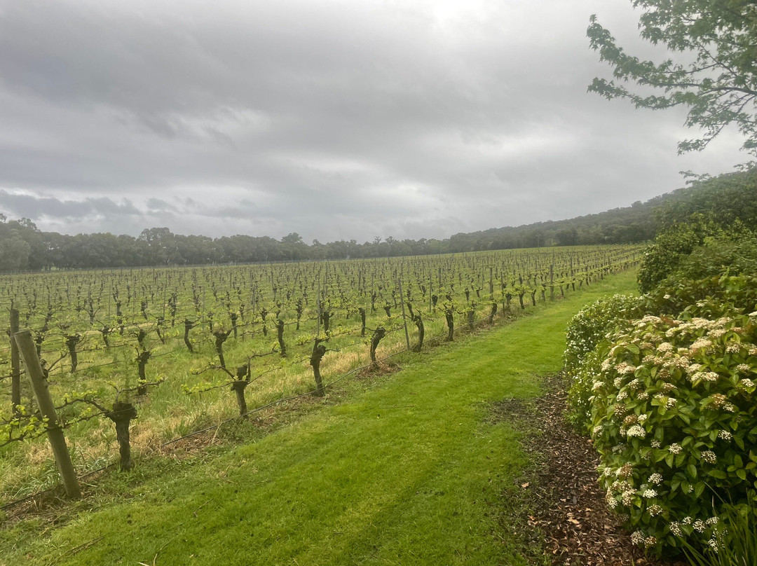 Bulong Estate-Yarra Junction必去景点