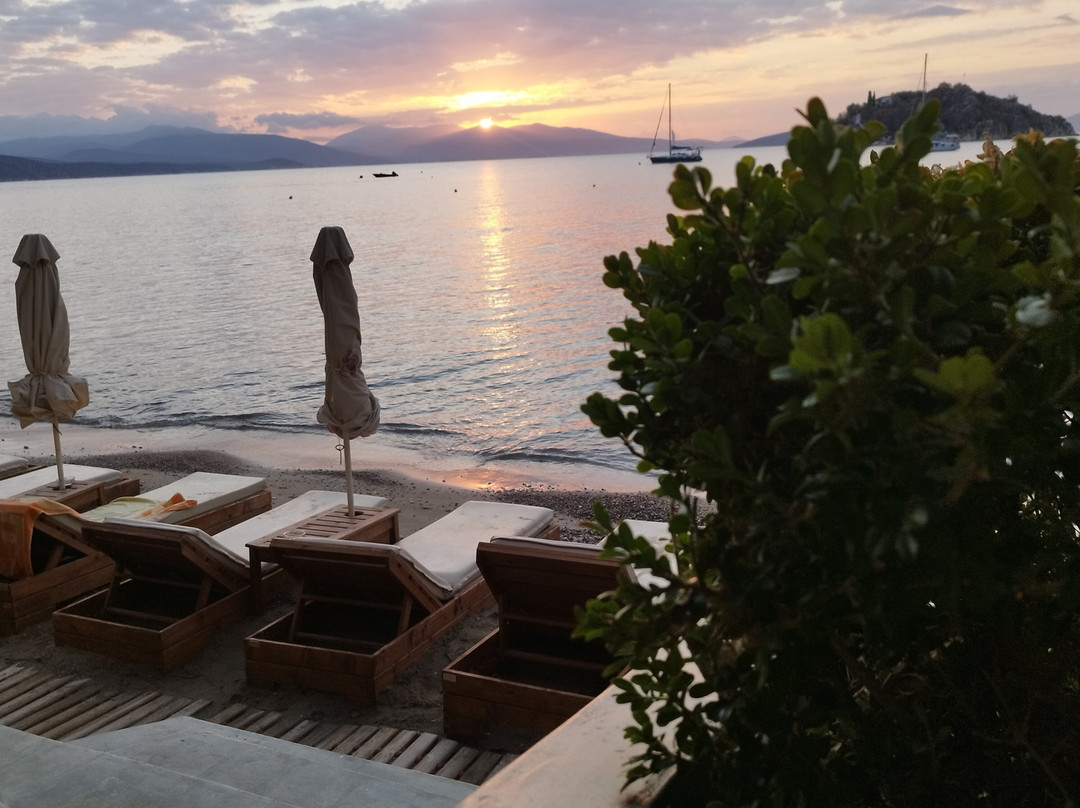 Nelly's Family Run Apartments主图