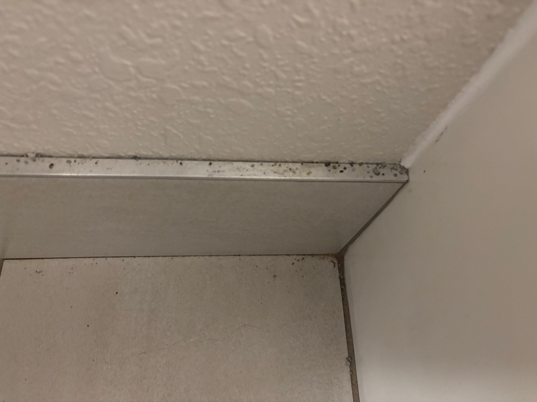 奇利科西东智选假日酒店主图