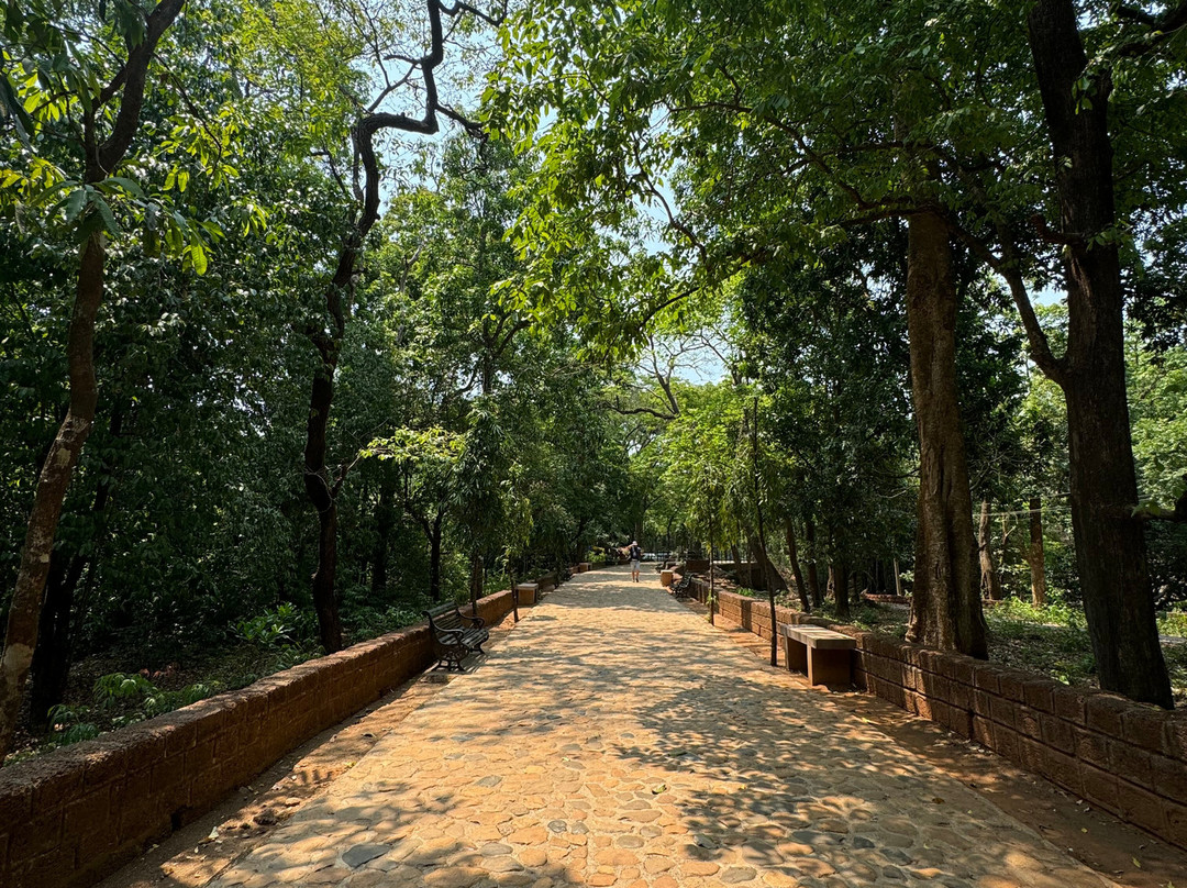 Tambadi Surla Mahadev Temple景点图片