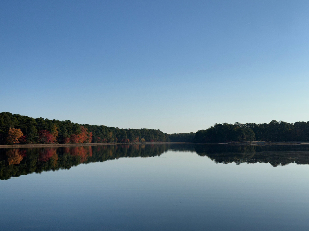 Bass River State Forest-Tuckerton必去景点