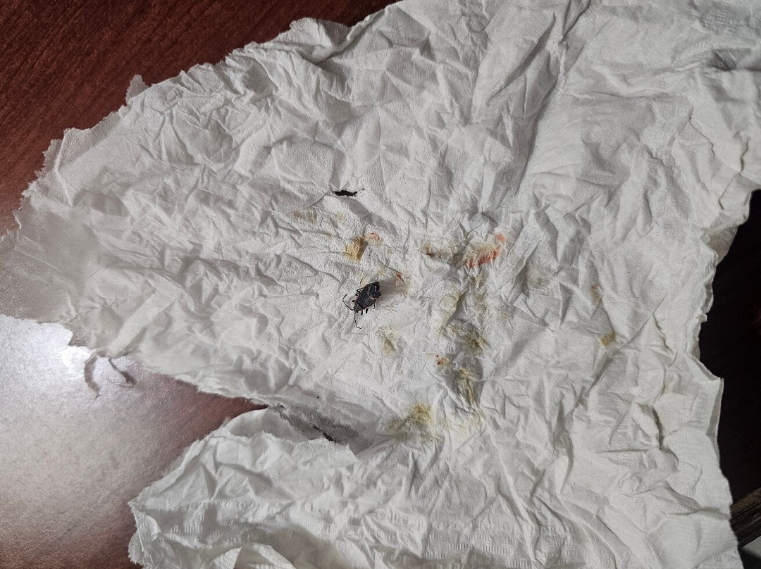 Hampton Inn & Suites Bismarck Northwest主图