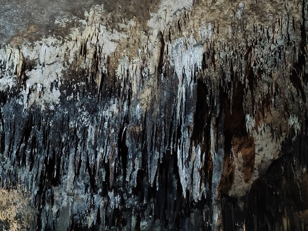 Tham Khao Bin景点图片
