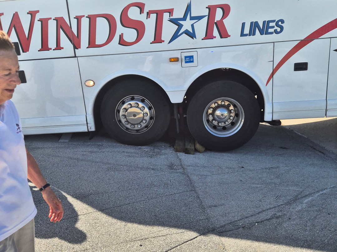 Go West Tours-Arnarstapi必去景点