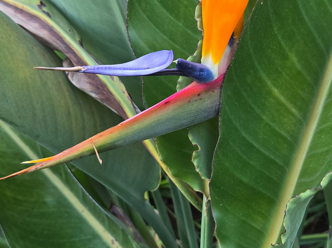 All Over Africa Guest House主图