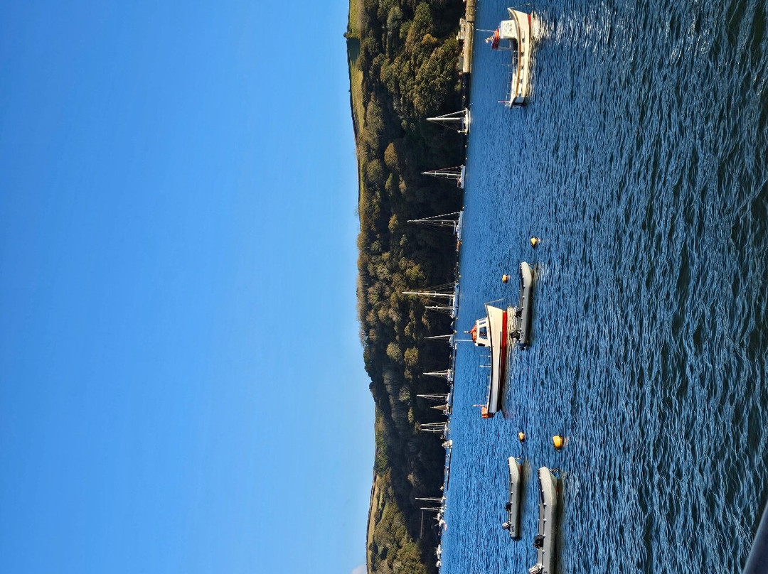 Fowey Estuary-福伊必去景点