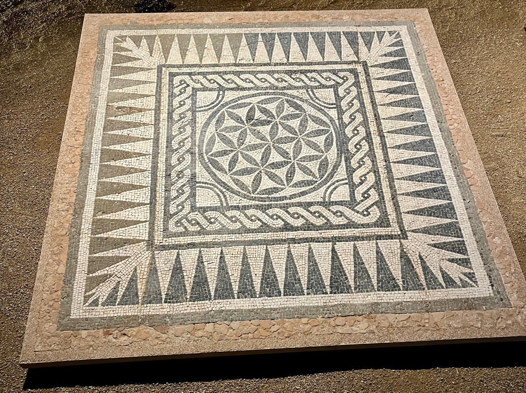 Museu de Badalona景点图片