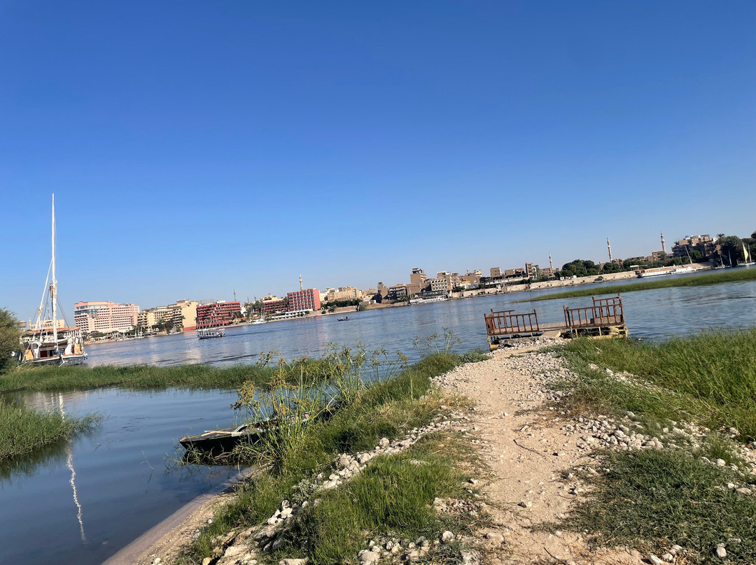 Jewel Howard Carter Hotel主图