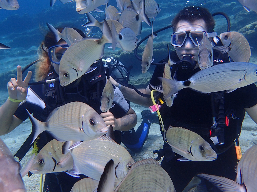 Happy Bubbles Diving Center景点图片