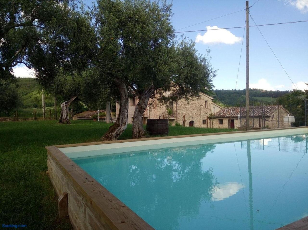La Collina Degli Ulivi