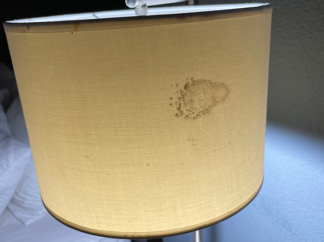 博柔温德姆花园酒店主图