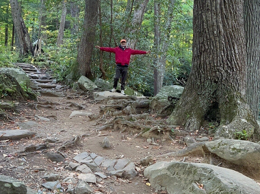 Rainbow Falls Trail-大雾山国家公园必去景点