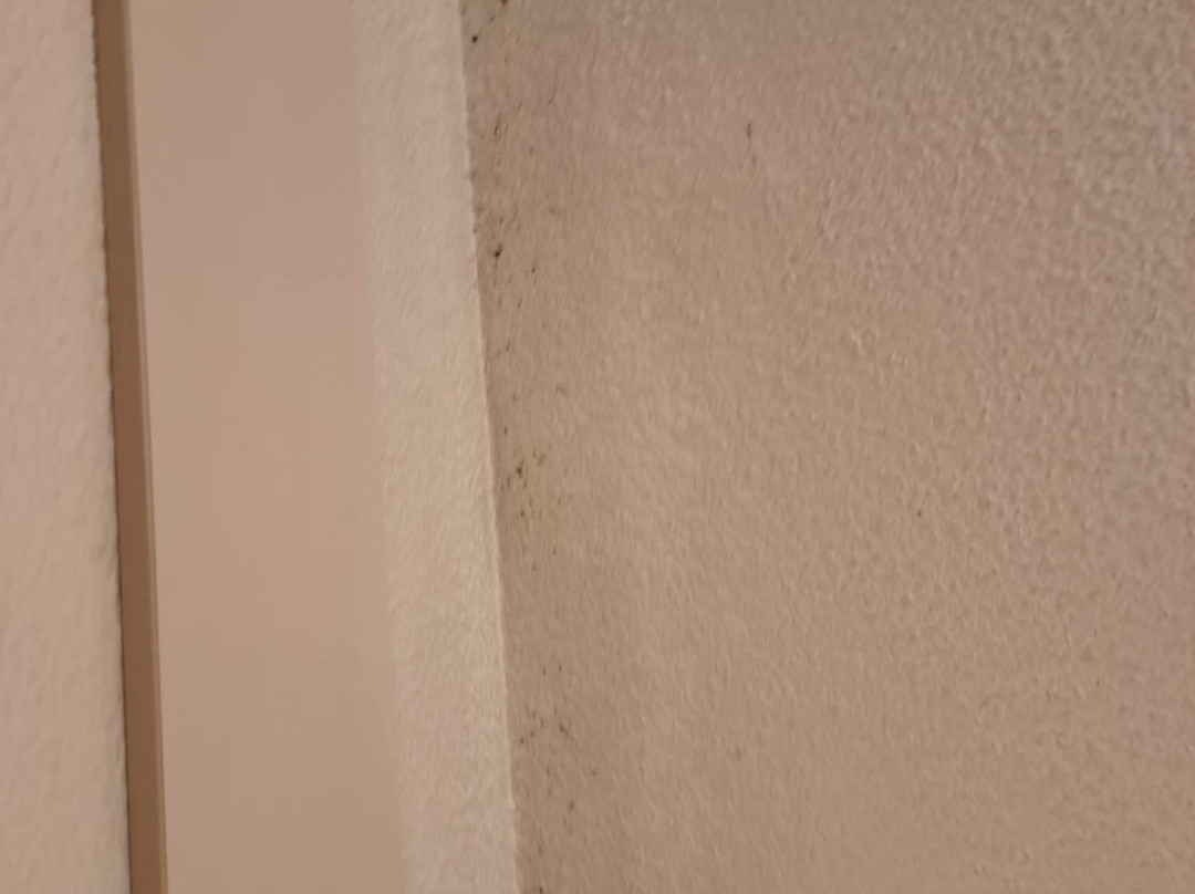 B&b Hotel Niort Sud Venise Verte主图