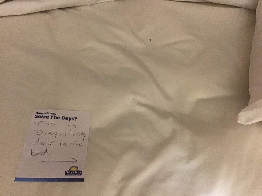 托灵顿戴斯酒店主图