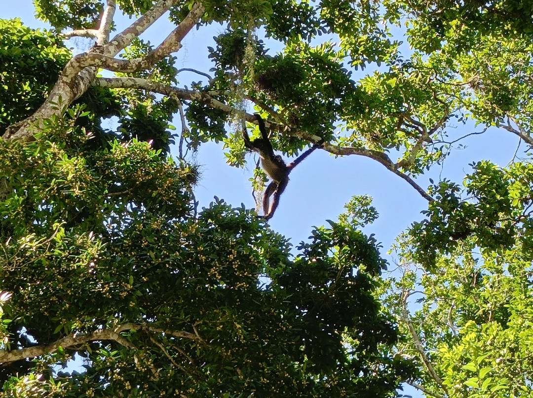 Calakmul Tours By Ezequiel-Xpujil Town必去景点