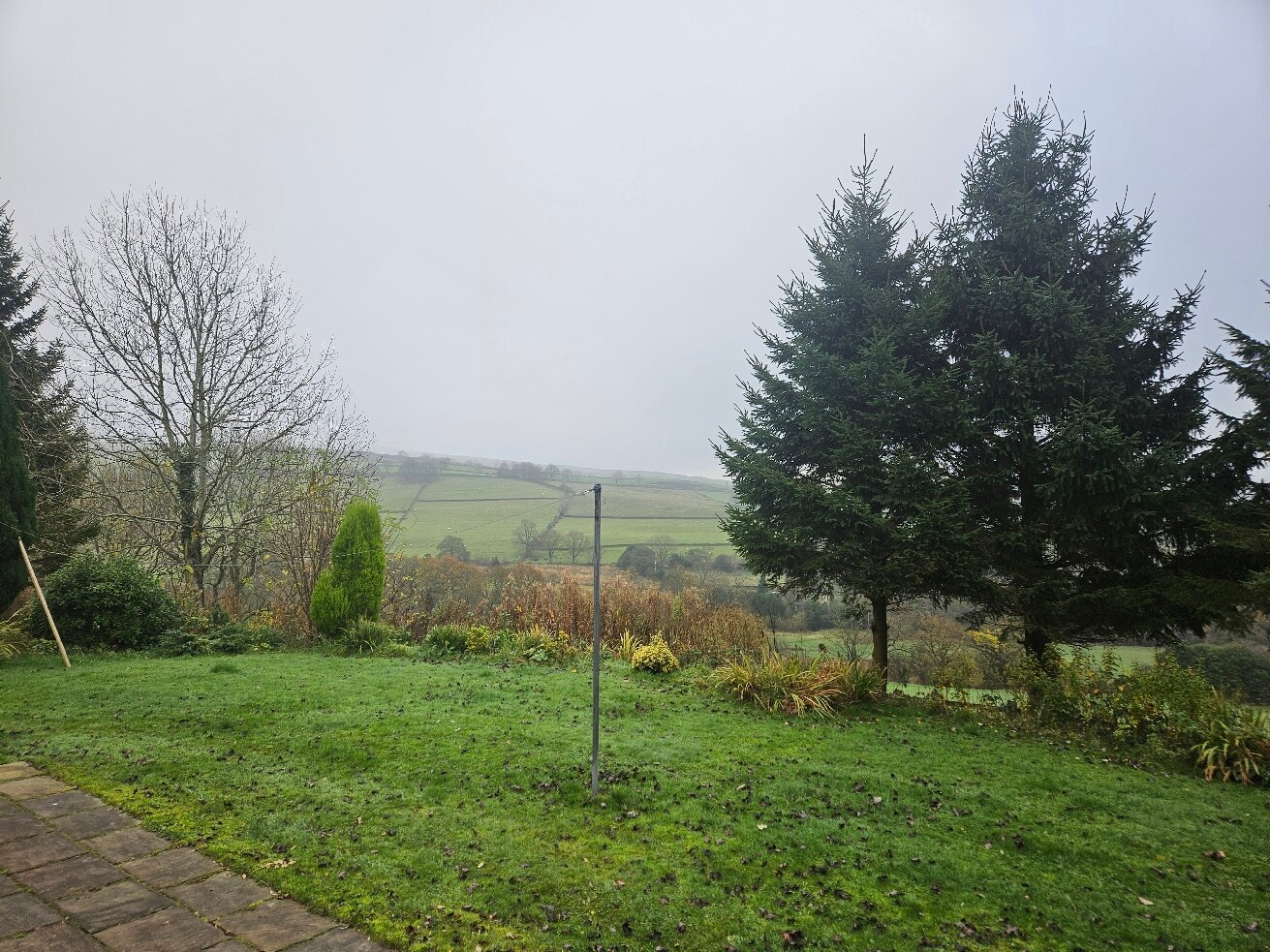 Moseley House Farm-官方