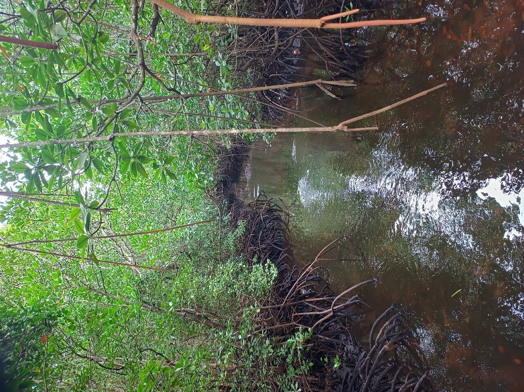 Jack Daniels-必韦久必去景点